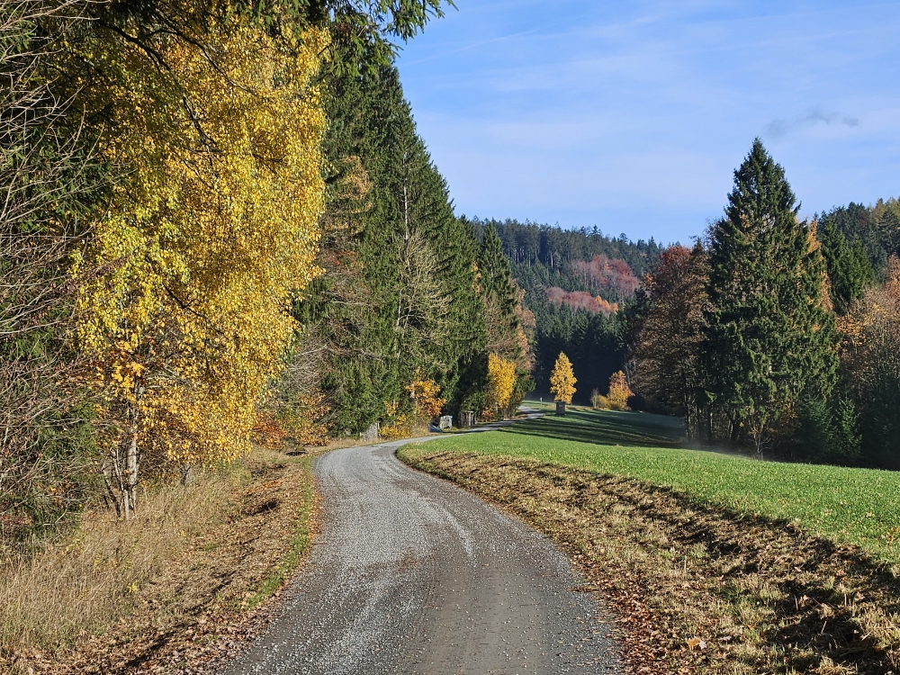Ob Muckenreuth, Tal des Heinersbachs.