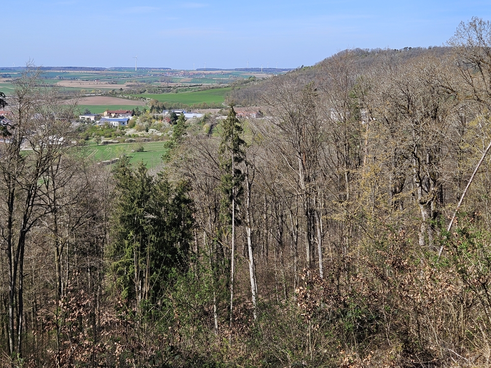 Ob Neusitz.