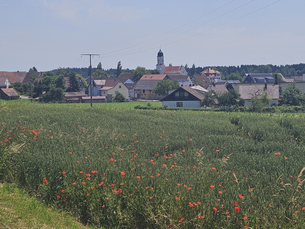 Hochberg (Dorf).