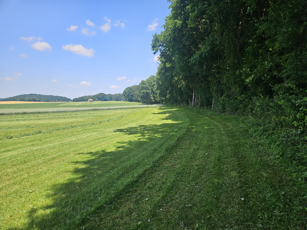 Bei Winterstettendorf.