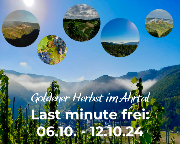 Last minute zum Goldenen Herbst frei