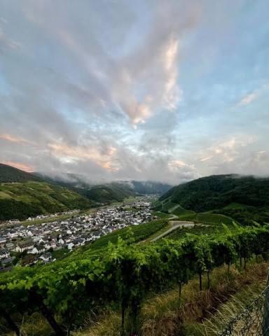 Aussichtspunkt Sondersberg Dernau