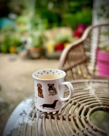 Guten Morgen friedliches Universum