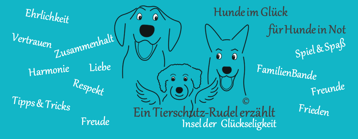 Tierschutz Hunde im Glück Ferienhaus AhrGlück Eifel