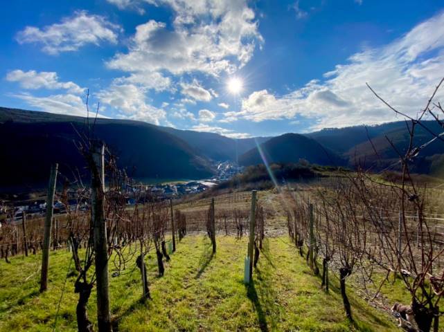 Nach dem Sturm kommt Sonne