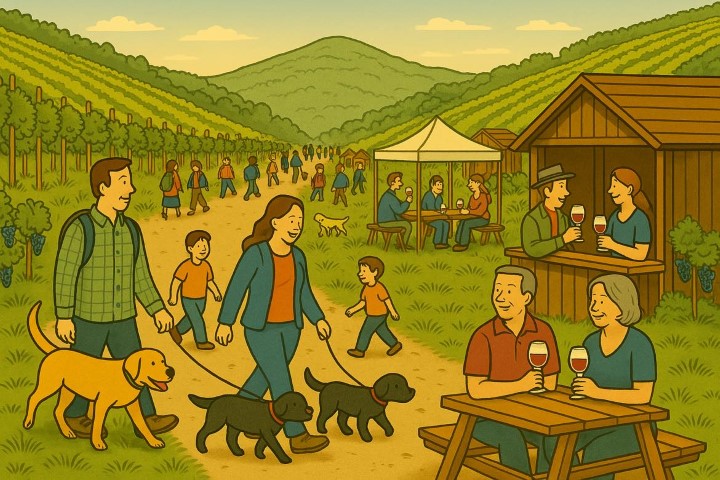 Weinfrühling Mittelahr