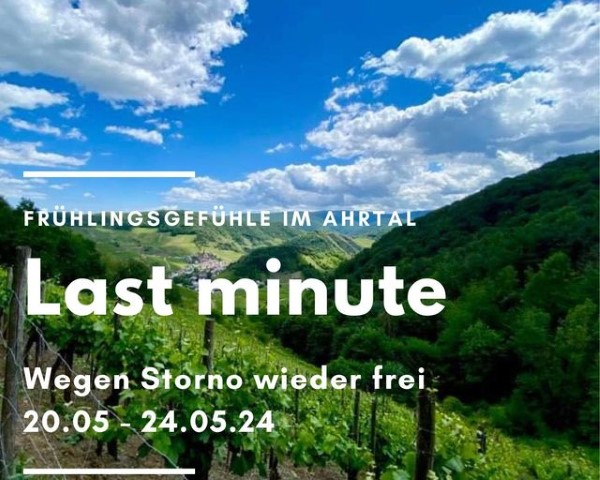 Last Minute Ferienappartement frei