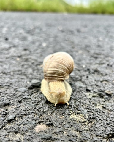 Entschleunigung im Ahrtal