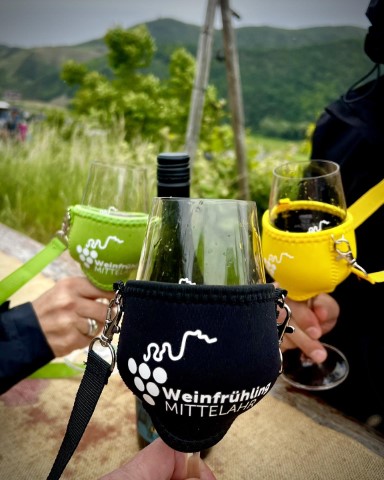 Mit Freunden beim Weinfrühling Mittelahr