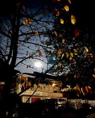 Das Ferienhaus im Supermond Licht