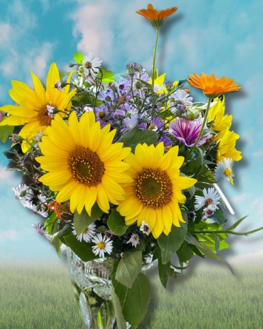 Sonnenblumen im Ahrtal