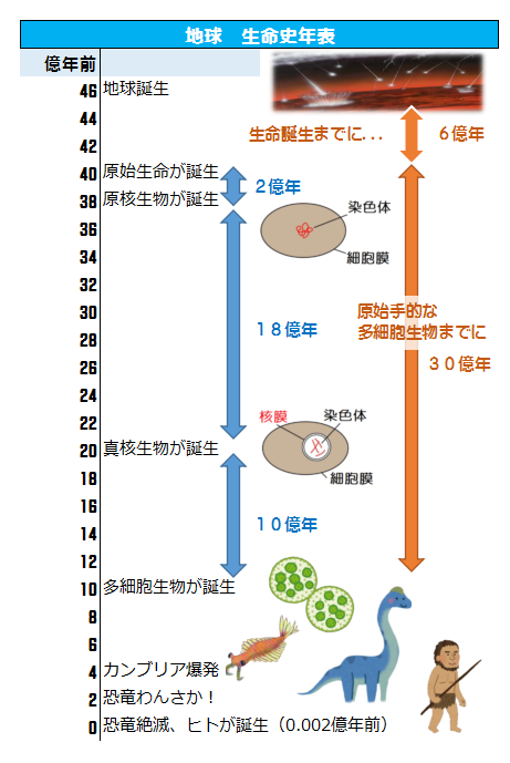生命誕生のスピード感 Nps成田予備校 学習塾