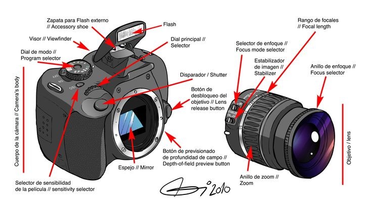 Partes de un cámara réflex digital (I)