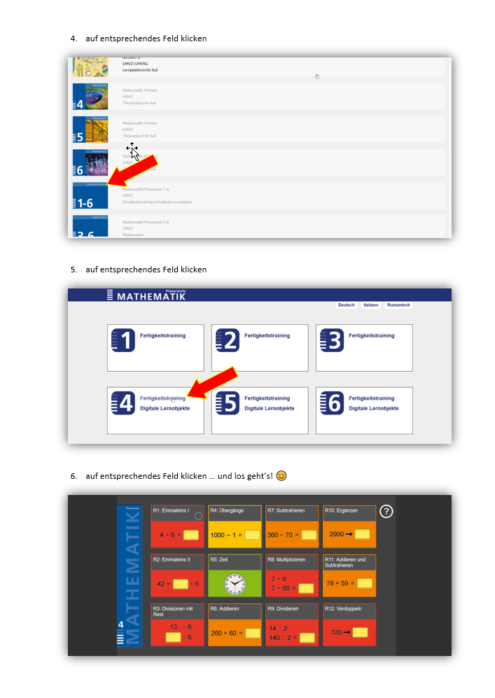 Anleitung LMVZ - Login - Website 5. Klasse Risi