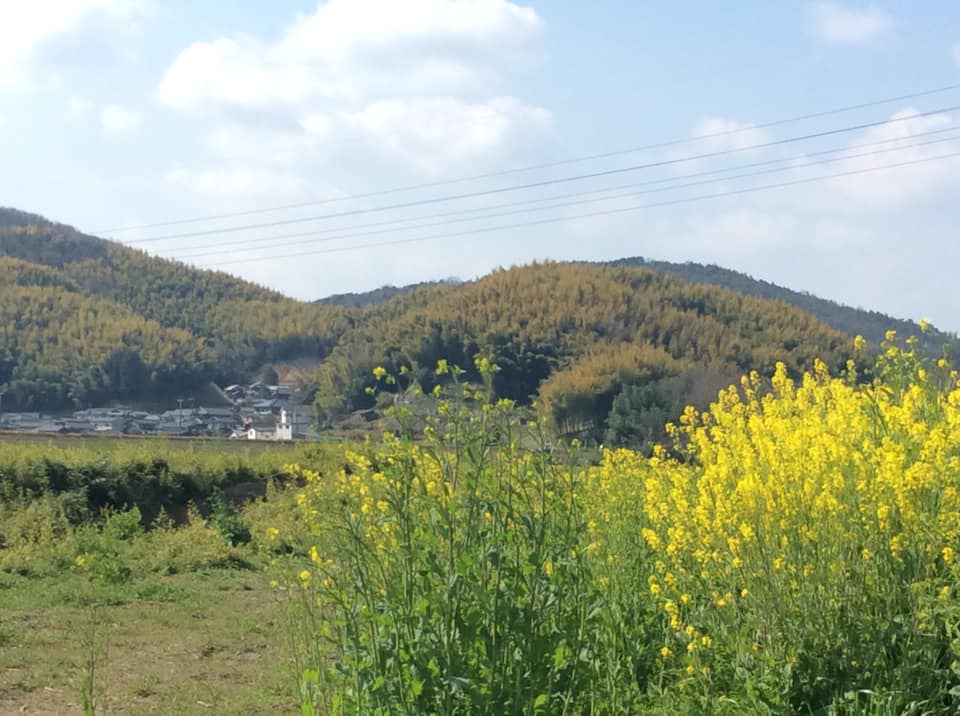 岡山県真備の春の花