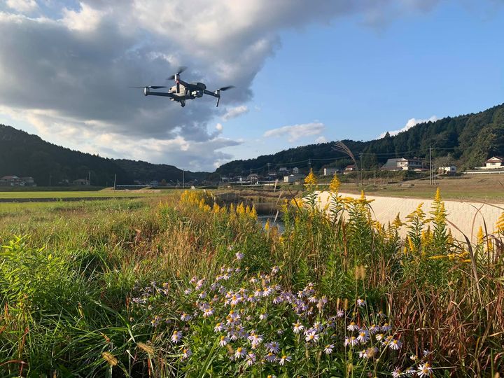 【ドローンと秋の草花】 河原に咲く野の花とMavic2pro