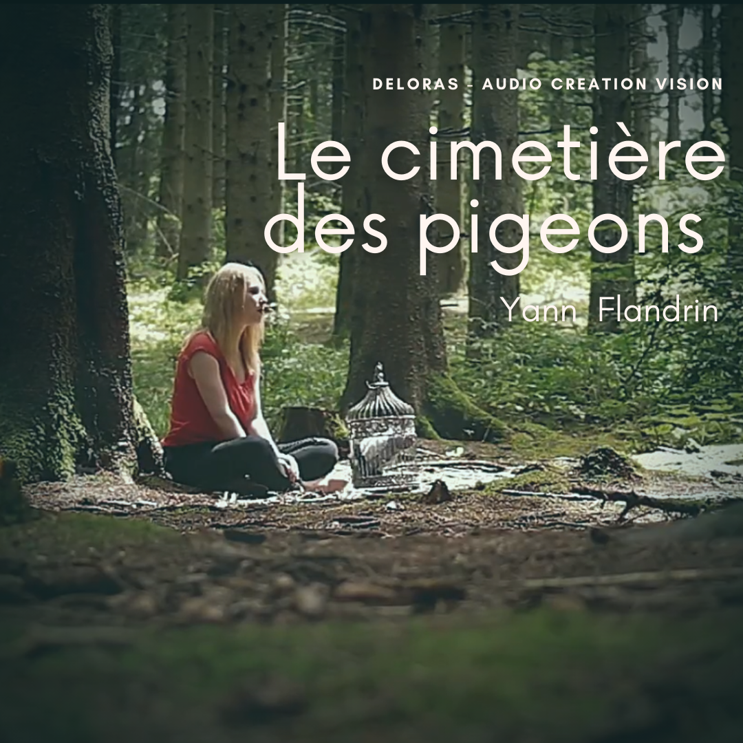 Le cimetière des pigeons – Un film de Yann FLANDRIN