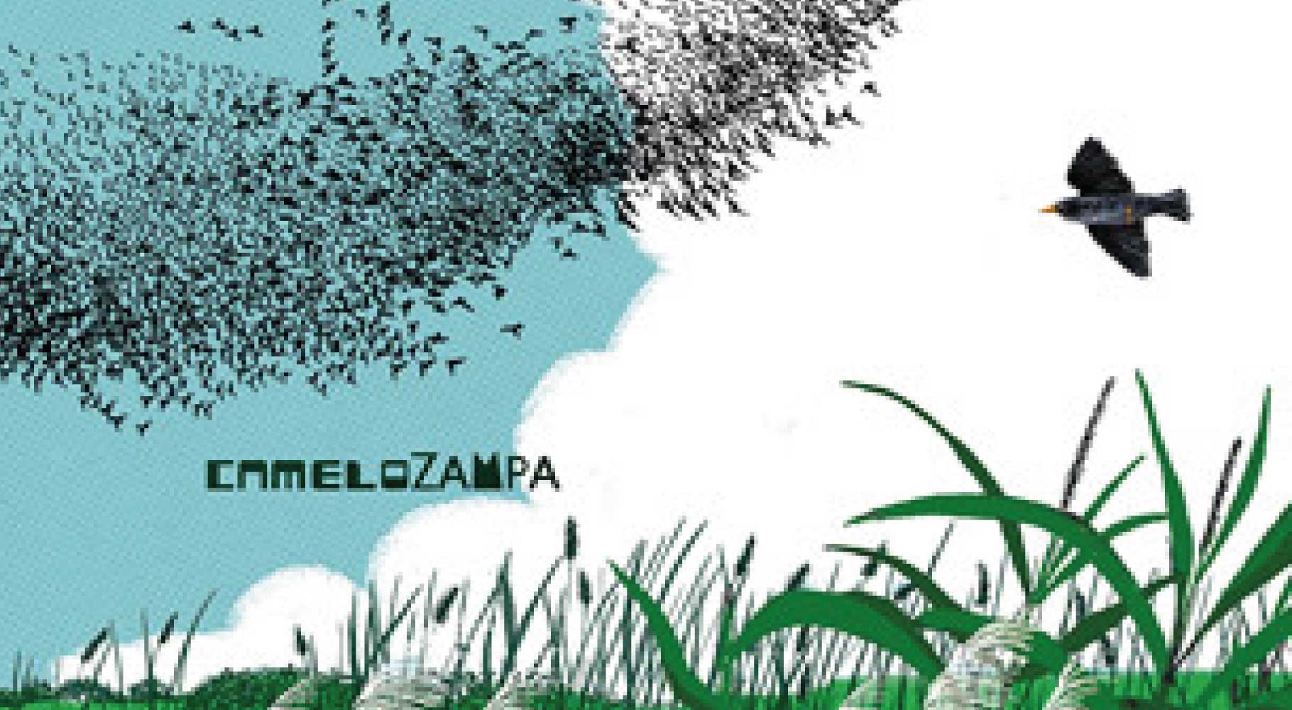 Coreografie animali di Núria Solsona: un albo illustrato per bambini
