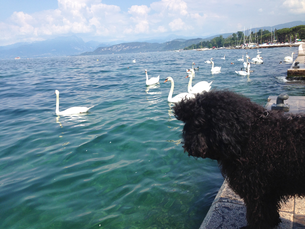 An der Promenade von Lazise