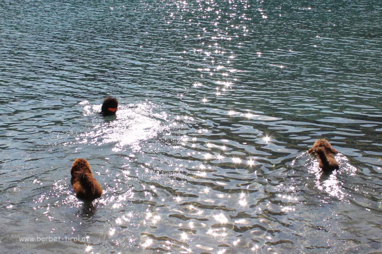 Glori, Héloise und Alex geniessen das Bad im Bergsee