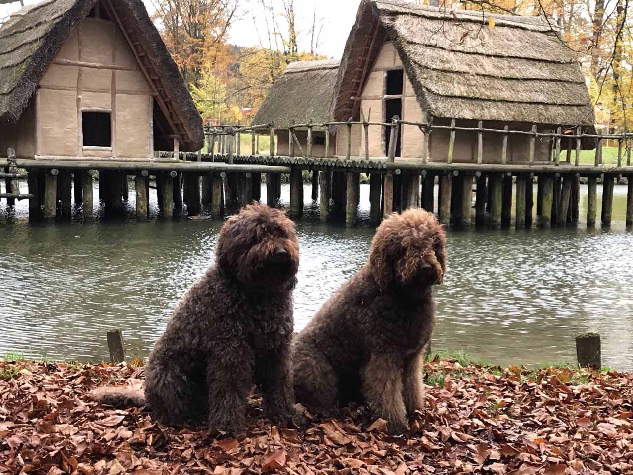 Glori und Gloris Oma Ginger besuchen den Bally-Park Schönenwerd