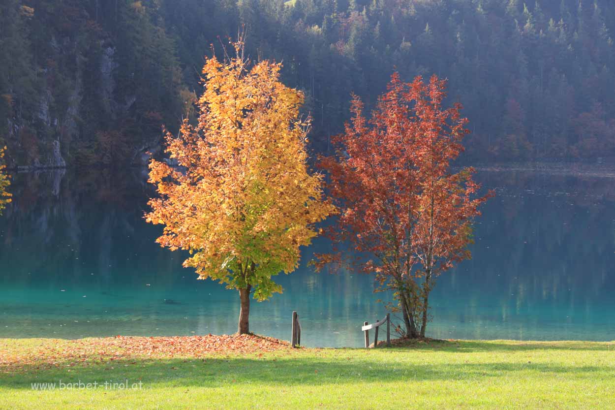 Schöner kann sich der Herbst nicht präsentieren als hier am Hintersteiner See