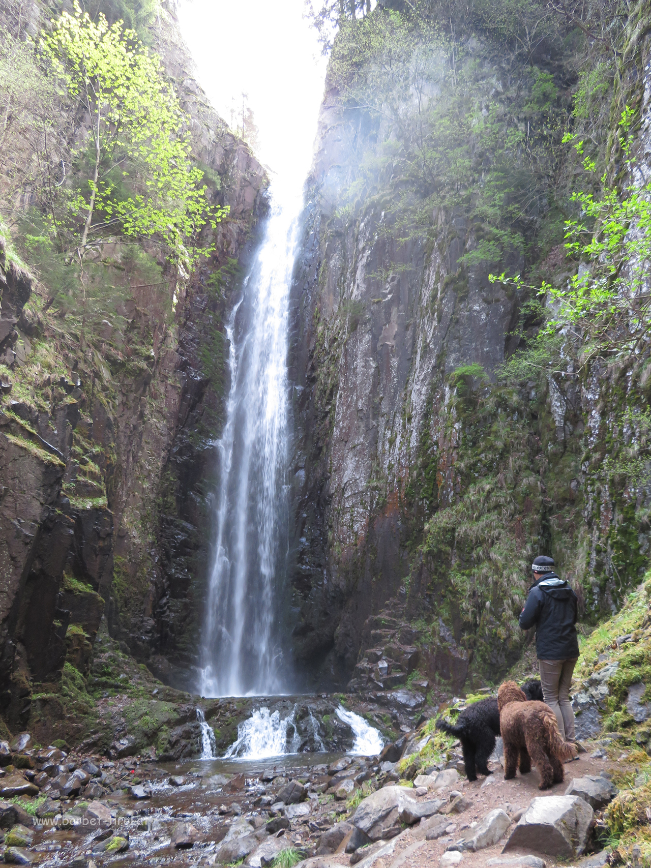 Cascata del Lupo bei Bedollo