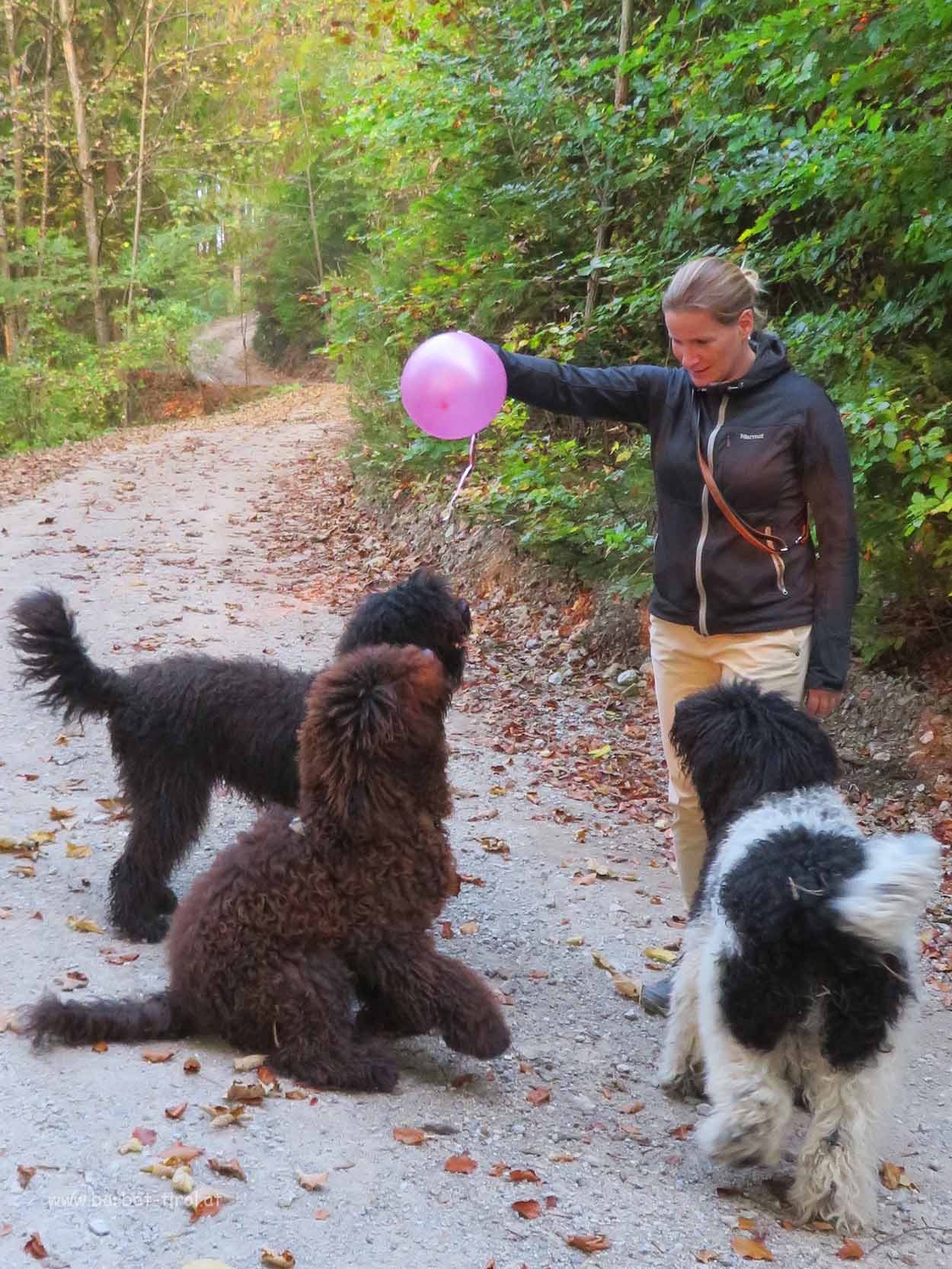 ...und plötzlich taucht wie aus dem NIx ein pinker Luftballon auf 