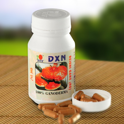 REISHI GANO (RG) Se Formula a partir del Ganoderma Lucidum, en su estado ya Maduro de 90 Dias. Este Ganoderma es cultivado en la granja Orgánica Acreditada de DXN.