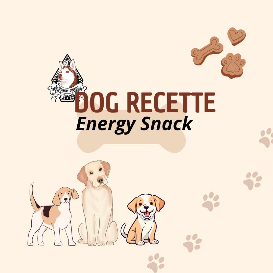 Energy Snack