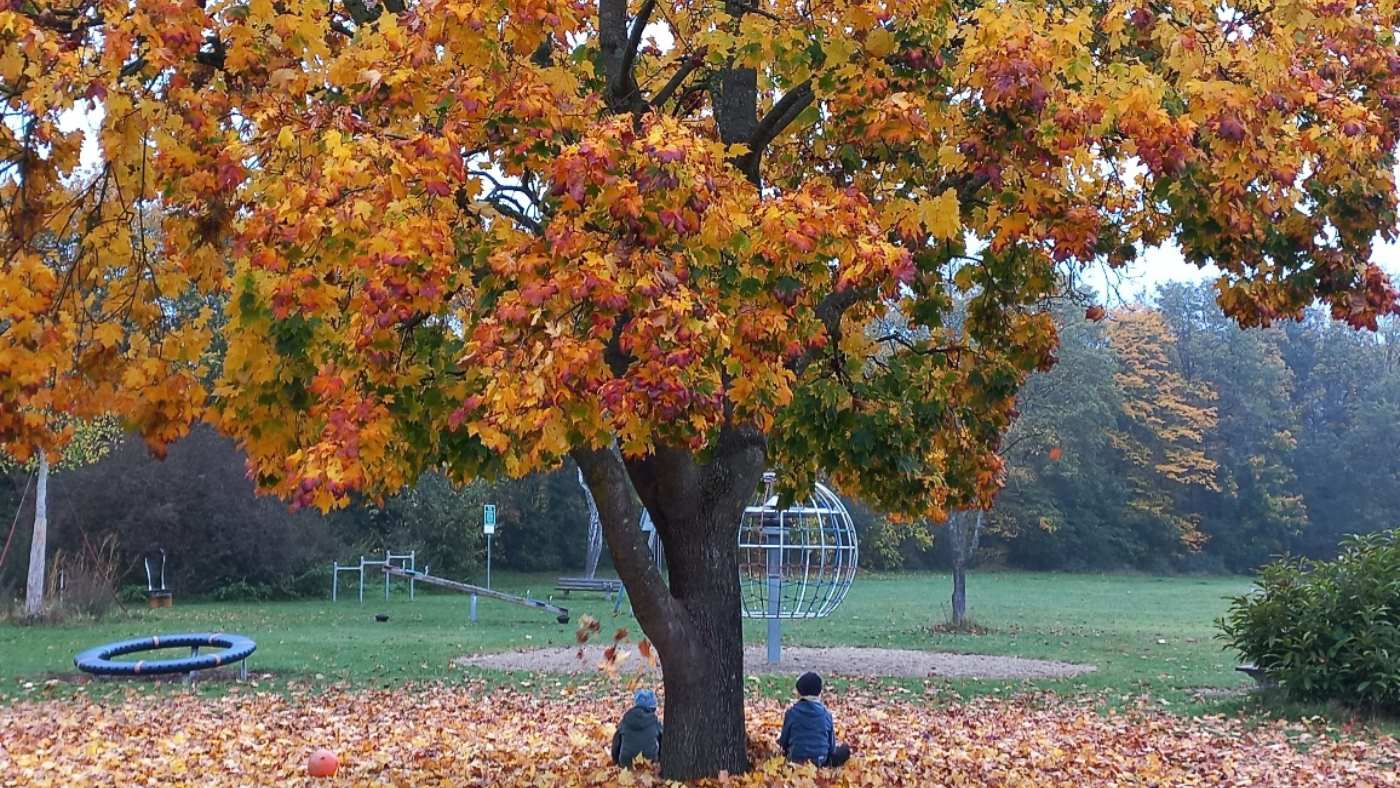 Ideen für Aktivitäten mit Kindern im Herbst