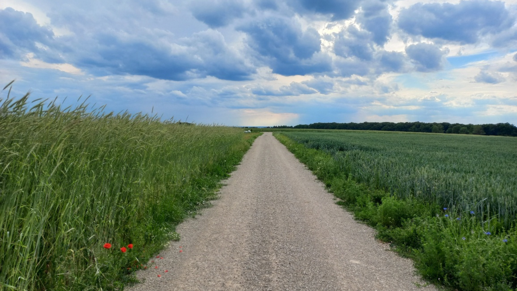 Kleine Auszeiten im Alltag: 9 Ideen für erholsame Momente