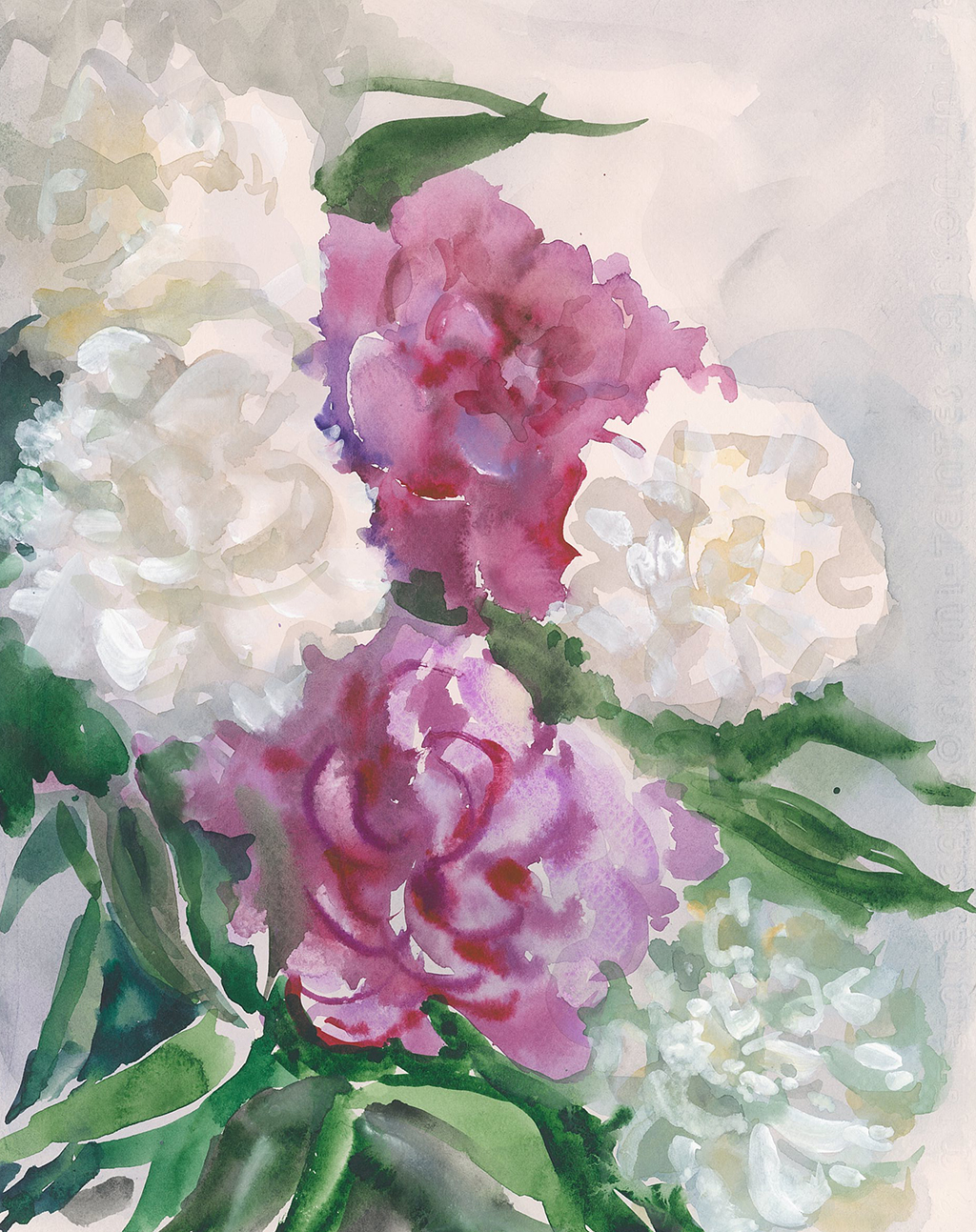 Peony. 2017. Tinted paper, water color, white.