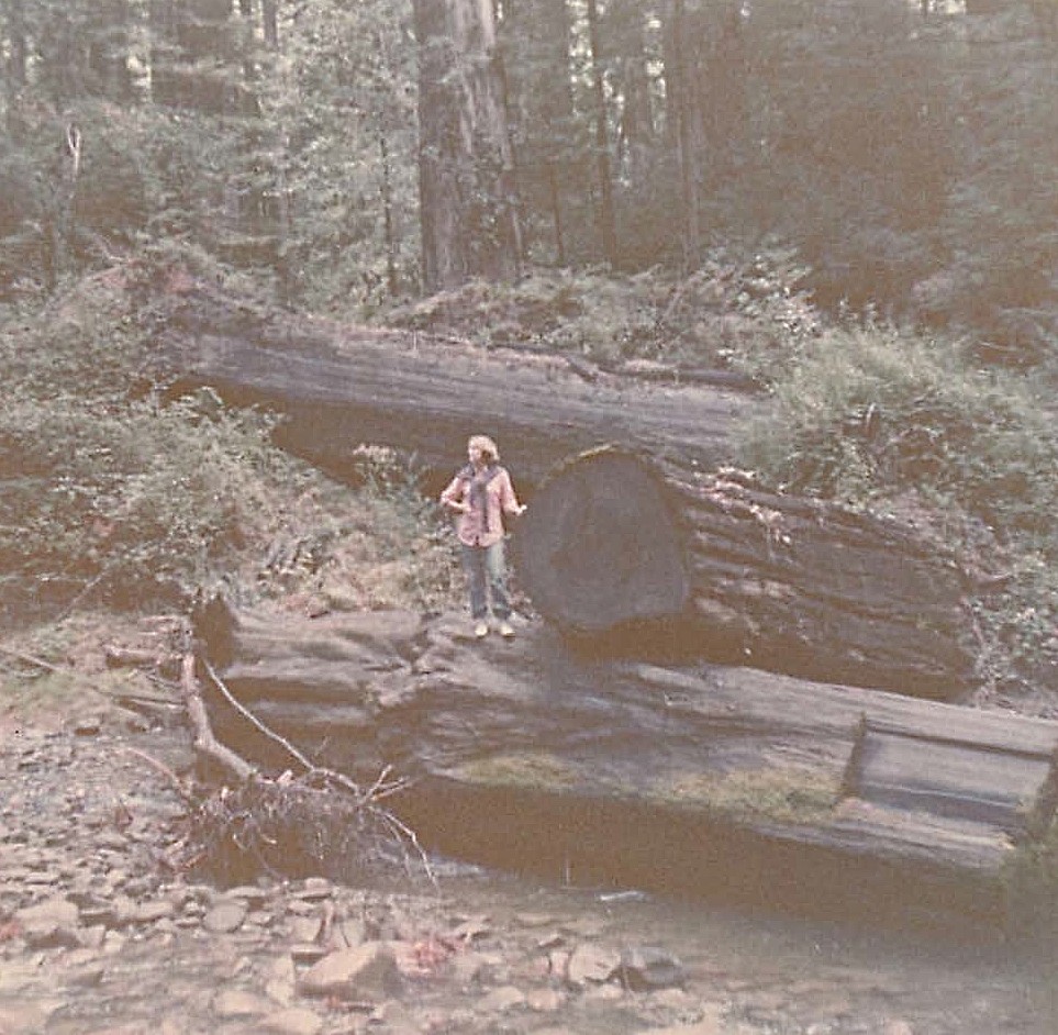 Lorraine among the huge trees near the Rogue River, 1978