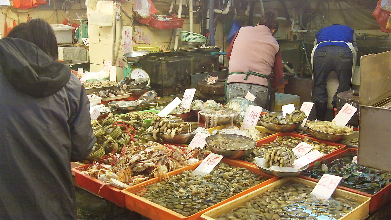 Lots of fresh fish for sale