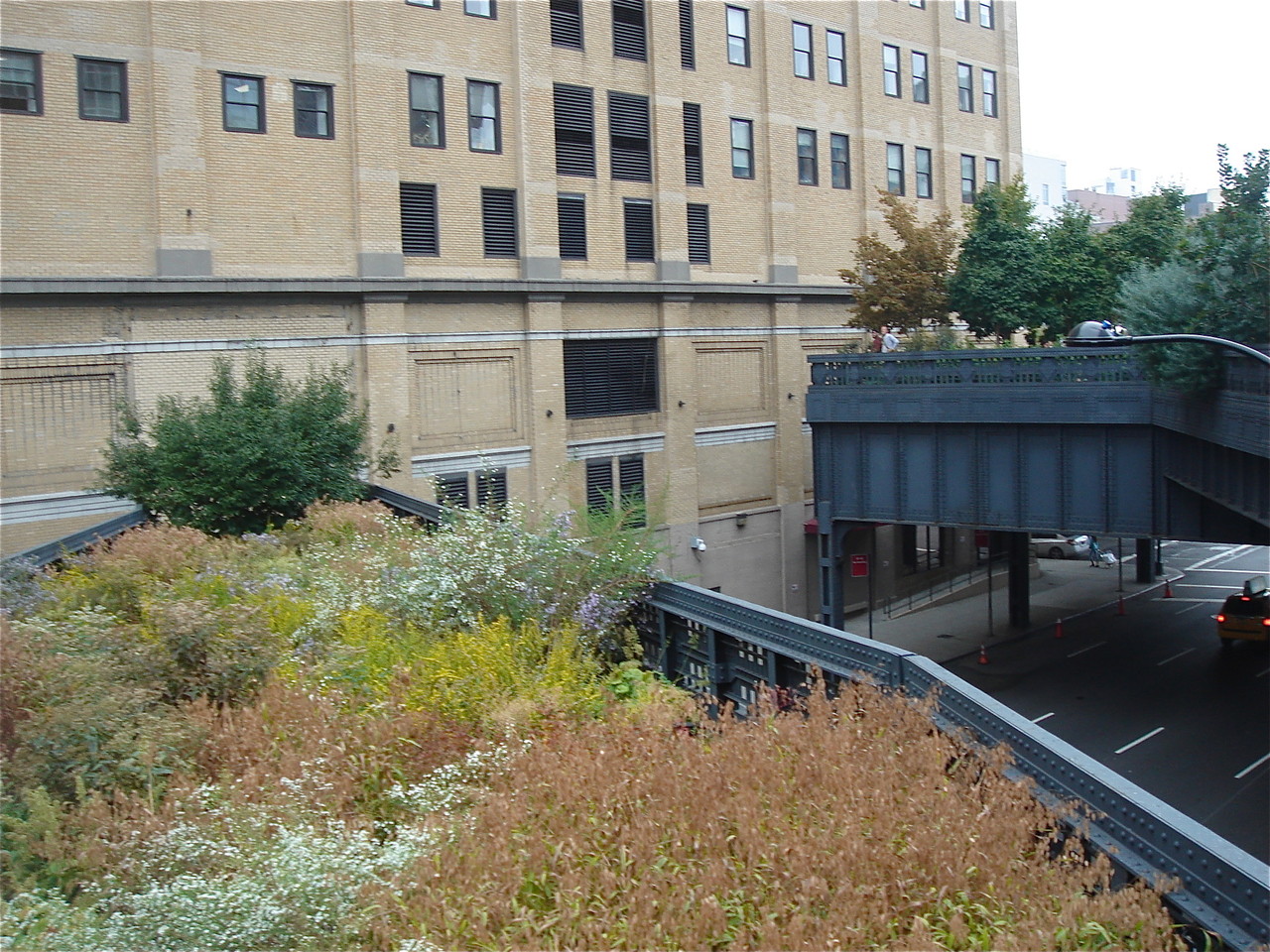 The High Line, NYC