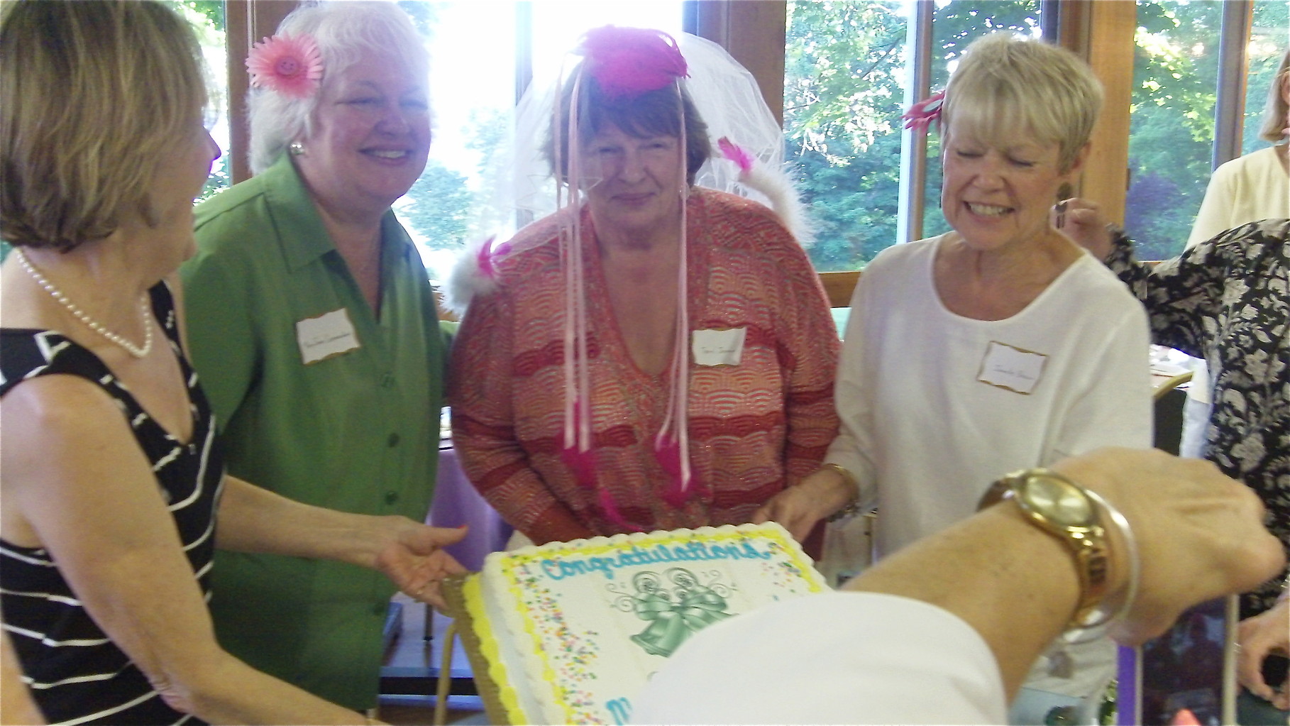 Janet Hovey Zeck, Mary Jane Cowmeadow Long, Terri Jennings, Janelle Branin Donigan