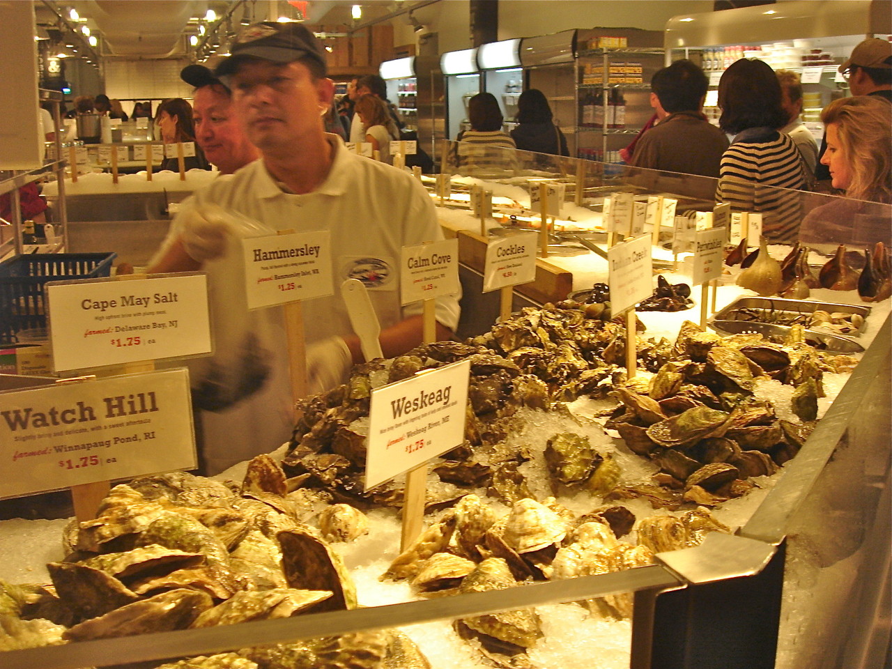 Oysters Galore...