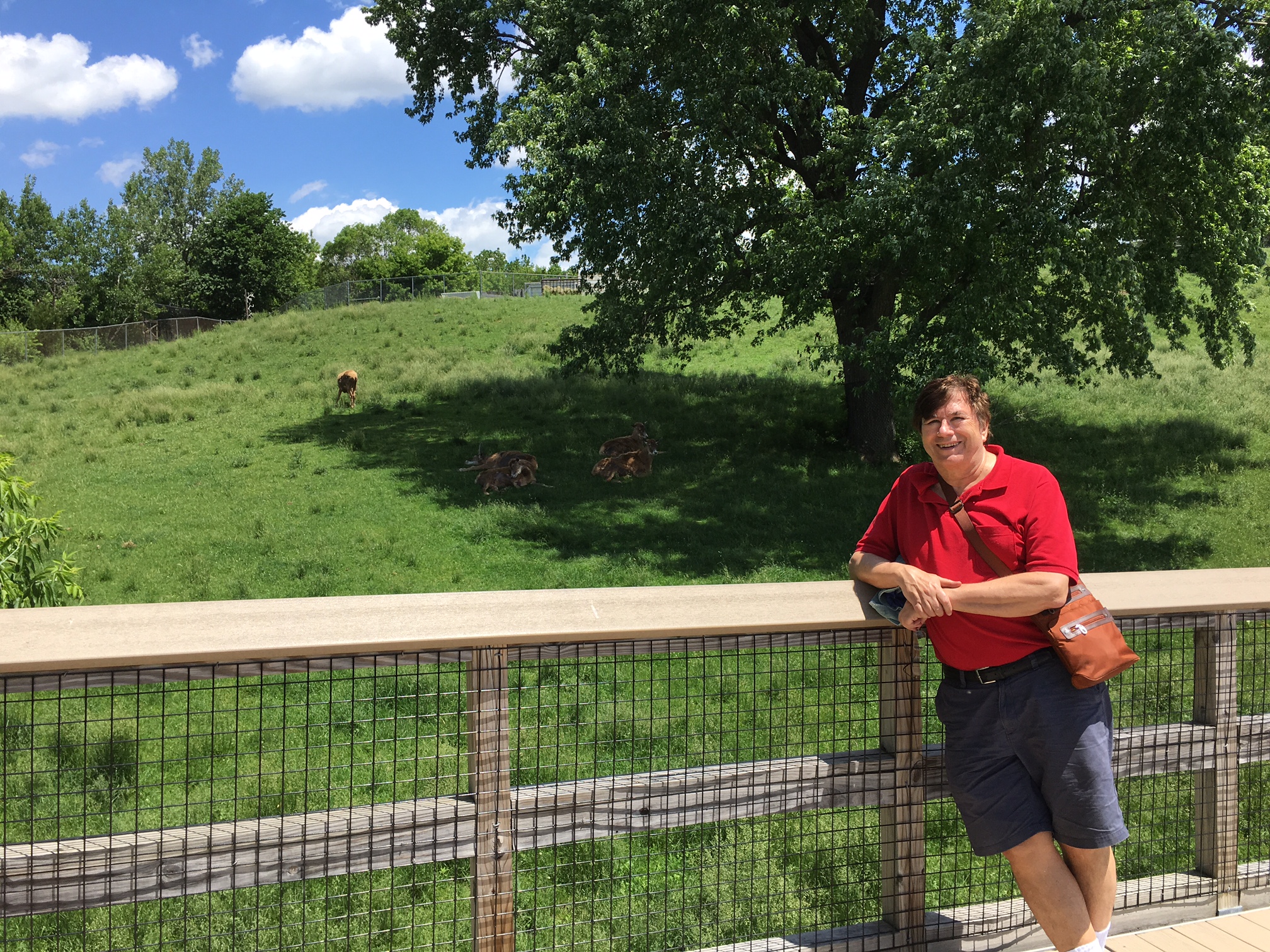 John at the zoo