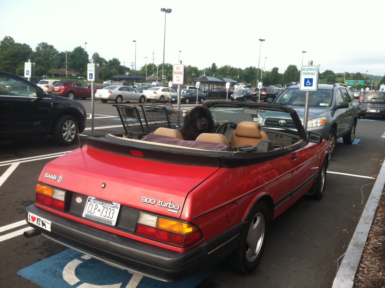 Wegman's Parking Lot, Labor Day Wkend...