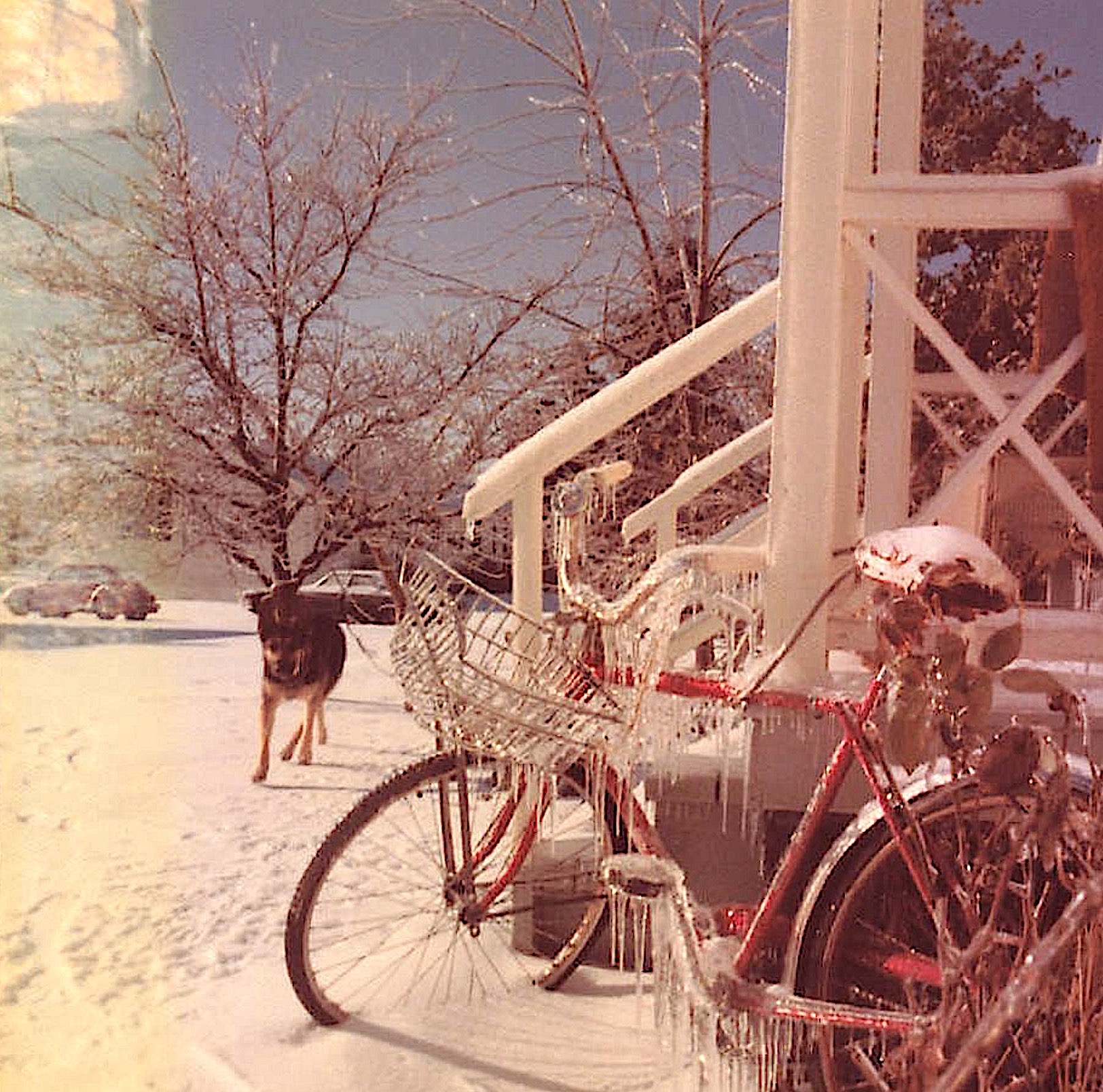 1973 winter Princeton, Butler tract of grad student housing, John's bike & a wonderful German sheperd next door!!!