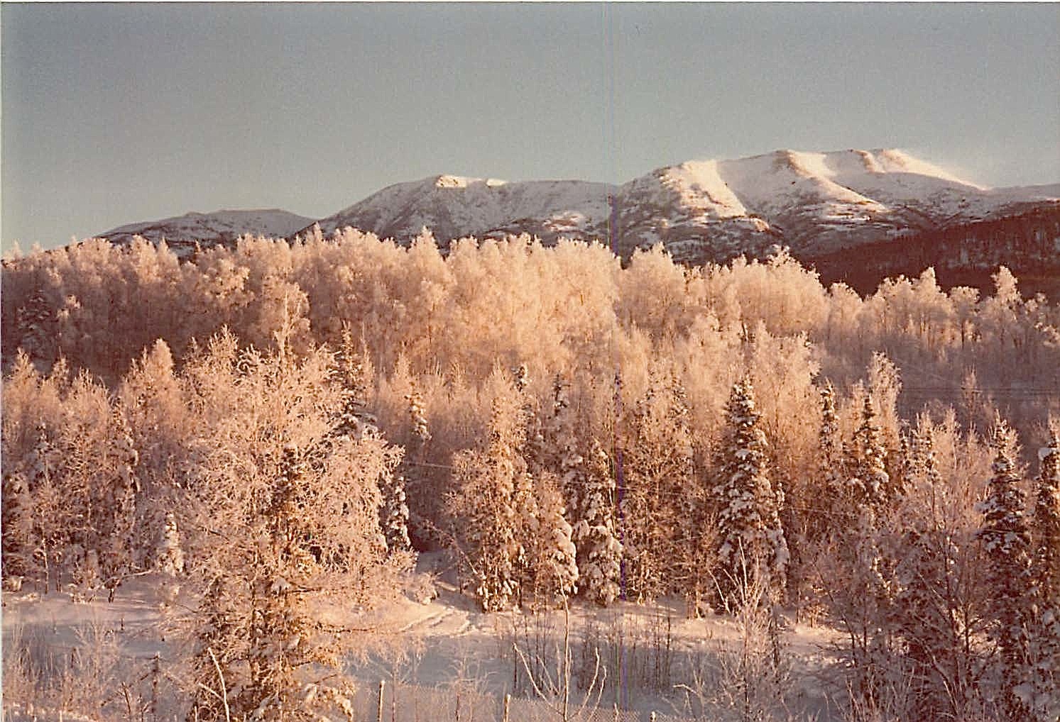 Alaska, Mt. McKinley in bkground 1979