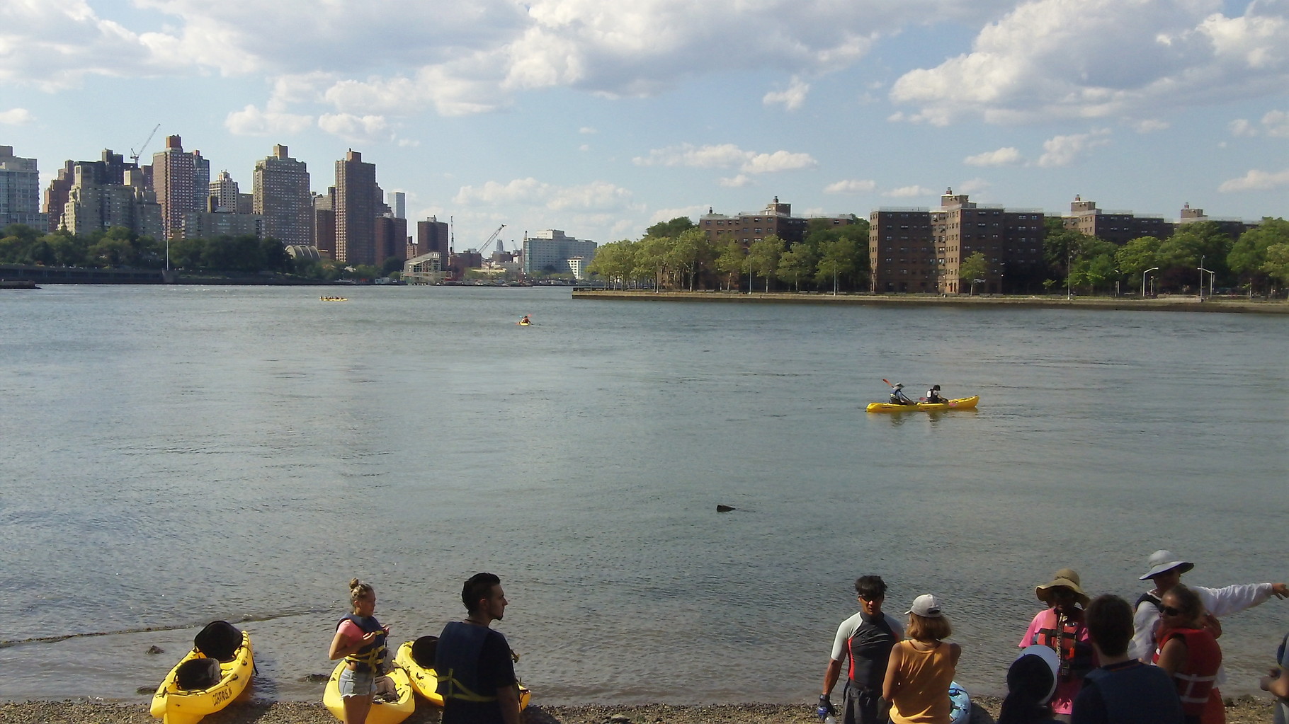 Beach on the East River near Socrates Sculpture Garden