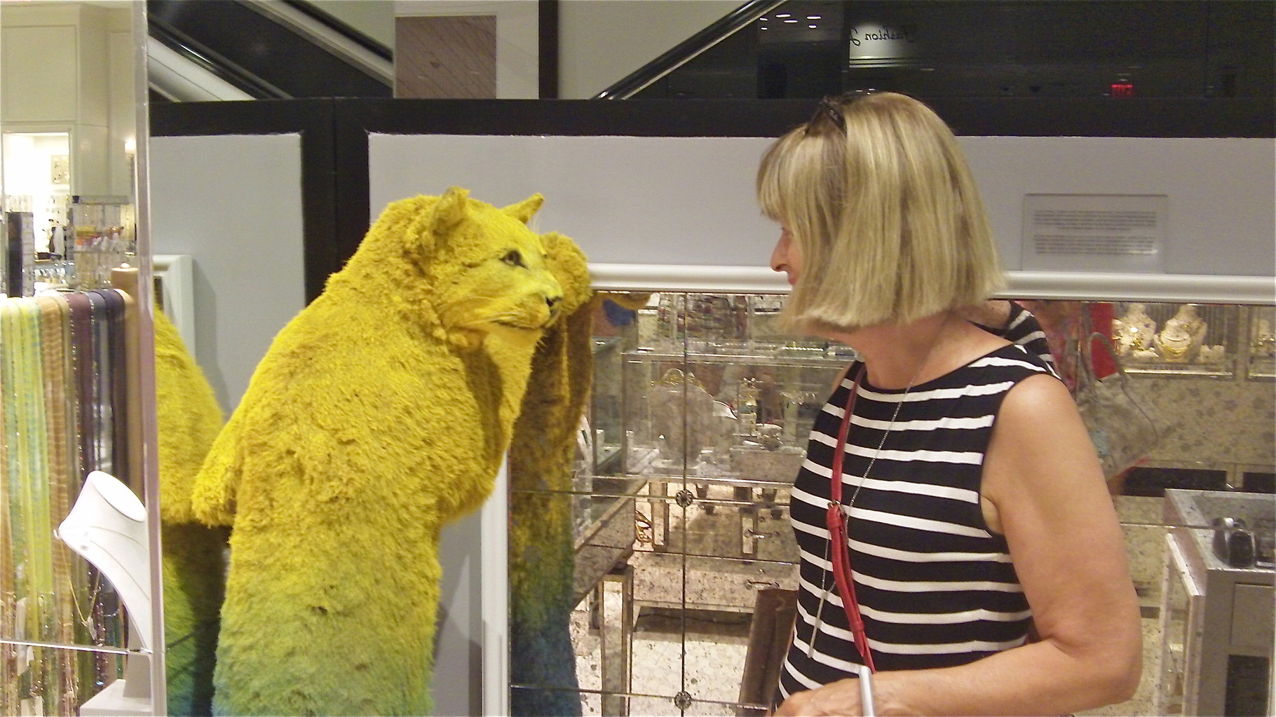 Nancy bonds with a cat at Bloomingdale's