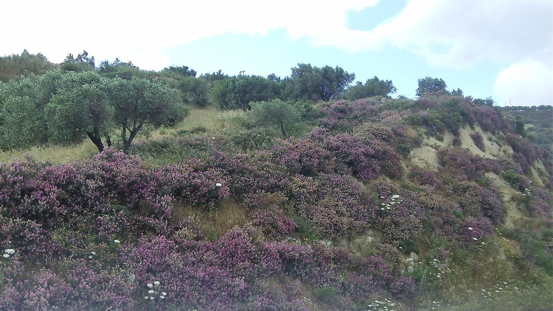 mountains near Gortyna