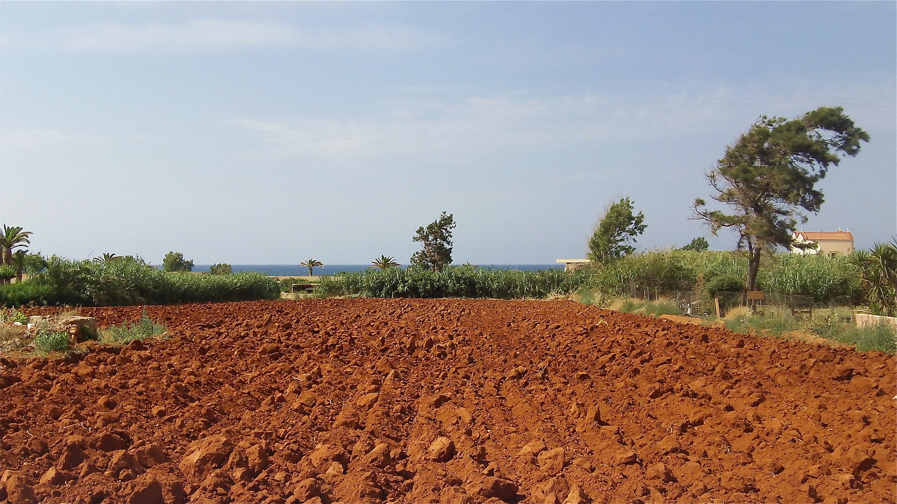 Cretan soil near Malia