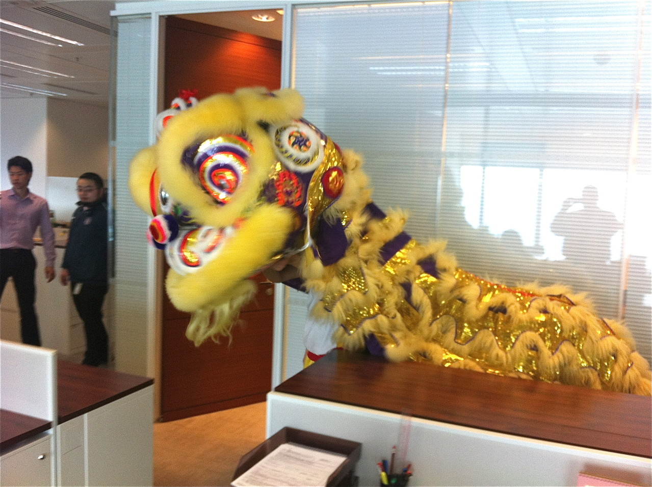 Lion chasing evil spirits from Greg's MS office, Hong Kong, 2-21-2013