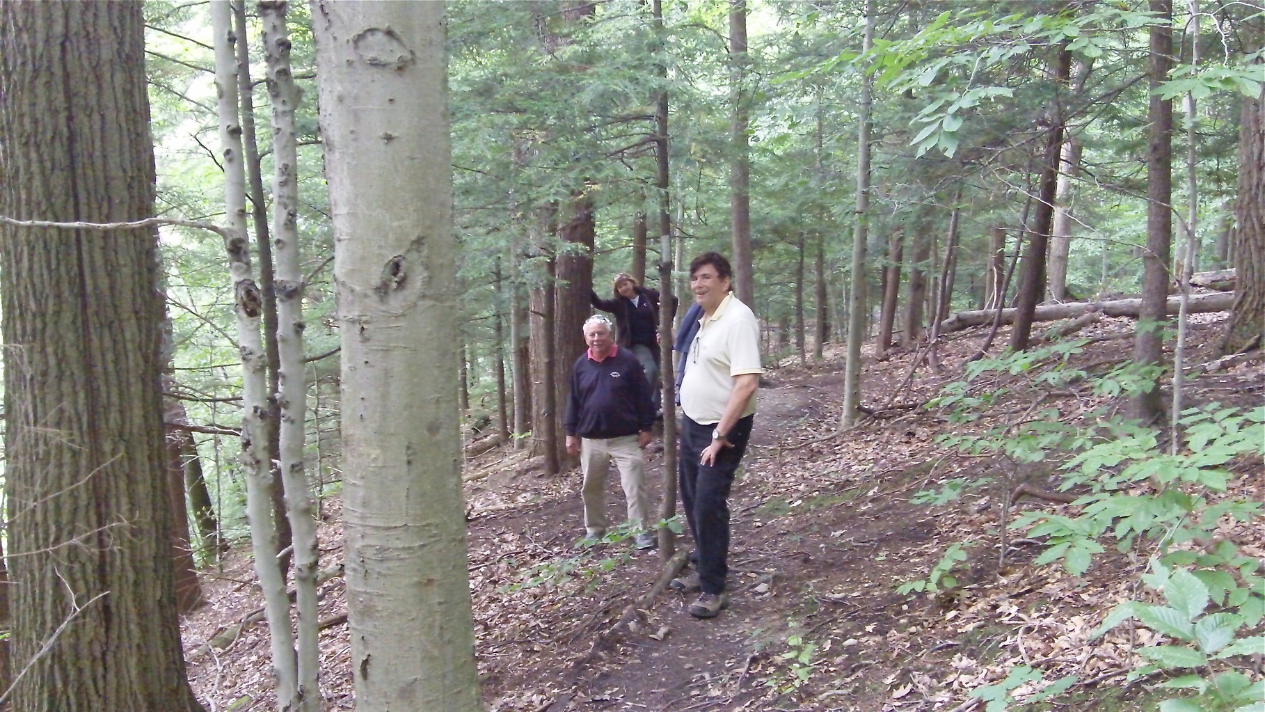 On the trail to Carpenter's Falls, Skaneateles, NY