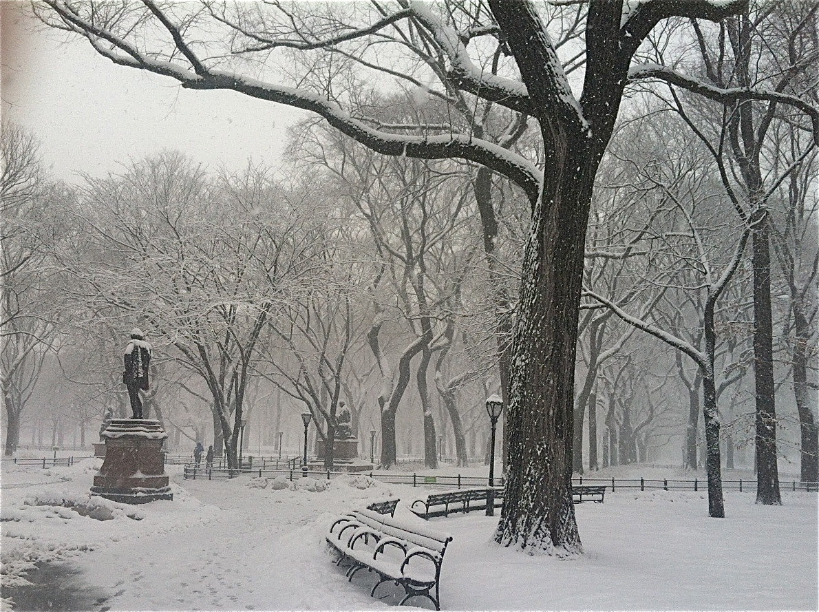 One of many Feb and March snowstorms, Central Park, 3-5-15