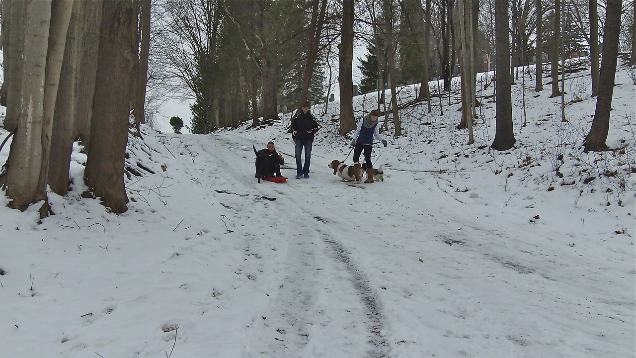 Sledding in St. Mary's Cemetery, Syracuse, NY